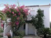 Billede 29