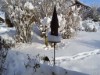 Bild 16