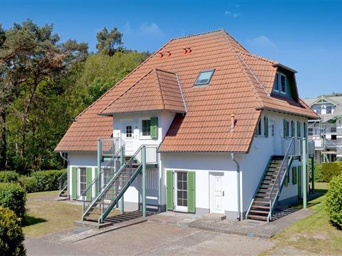 Ferienhaus - 5 Personen -  - Heideweg - 17449 - Karlshagen