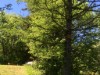 Billede 8 - Ude