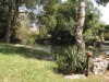 Image 23