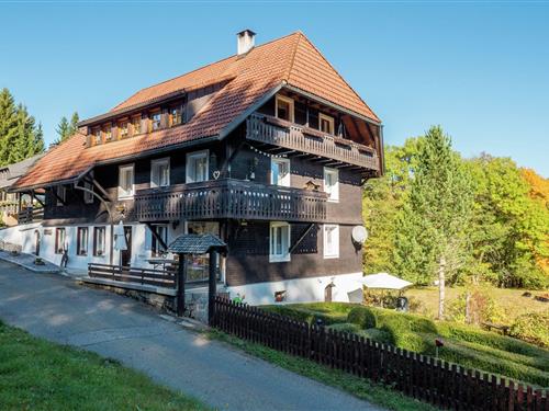 Holiday Home/Apartment - 4 persons -  - 79875 - Dachsberg