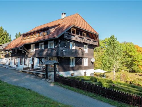 Ferieleilighet - 4 personer -  - 79875 - Dachsberg