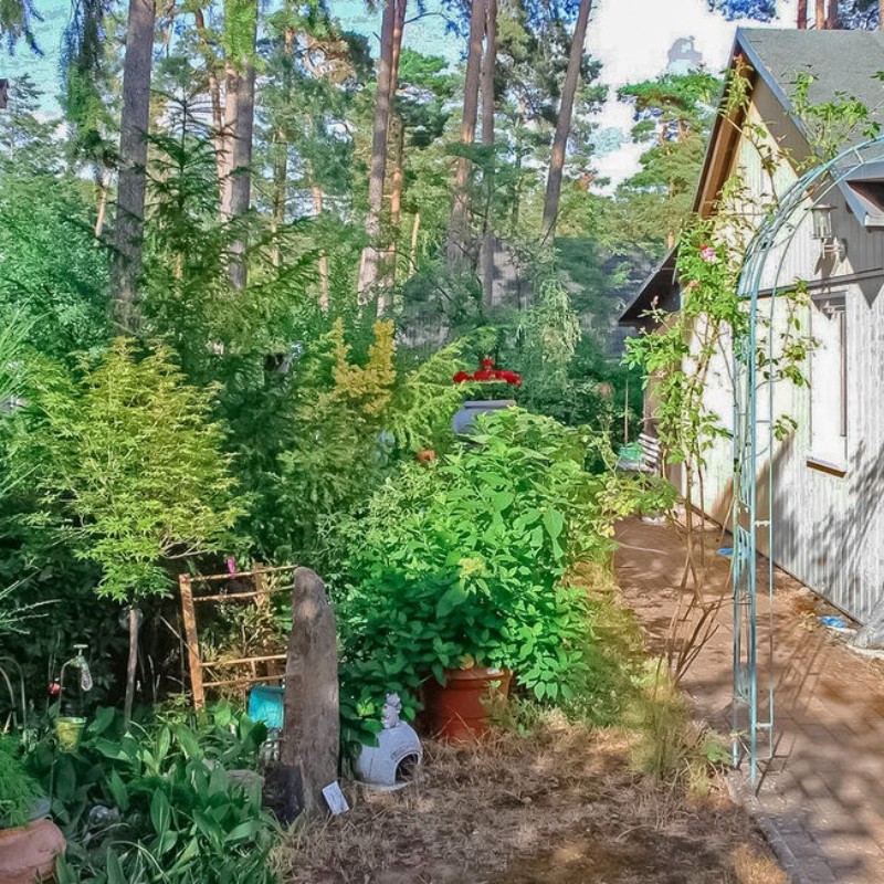 Sommerhus - 3 personer -  - Dünenstr. - 17509 - Lubmin (Seebad)