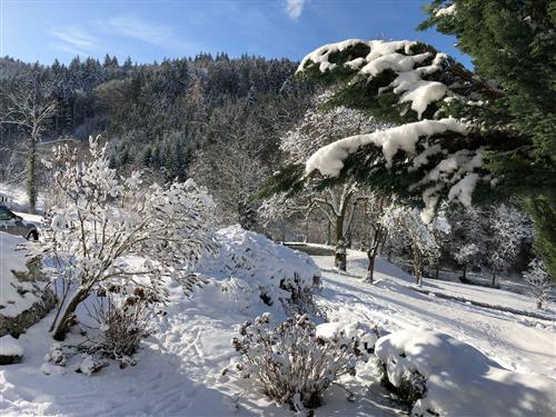 Bauernhof - 3 Personen -  - Dettenbach - 79183 - Waldkirch