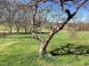 Bilde 15 - Ude