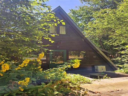 Chalet - 4 personer -  - 6940 - Durbuy