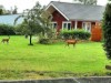 Bild 24