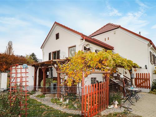 Holiday Home/Apartment - 7 persons -  - Weingebirge - 7471 - Rechnitz