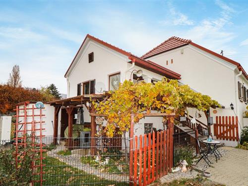 Holiday home - 7 persons -  - Weingebirge - 7471 - Rechnitz