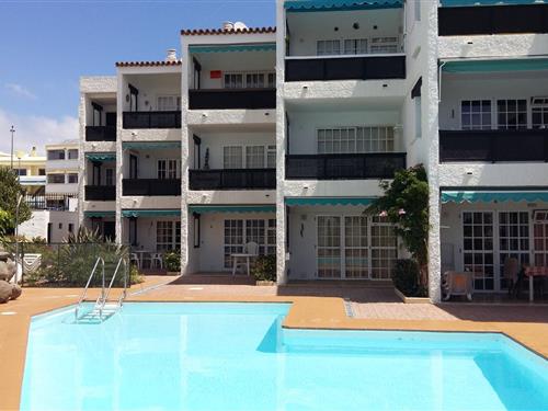 Feriehus / leilighet - 3 personer -  - luna - 35100 - Playa Del Inglés