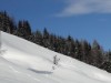 Billede 44
