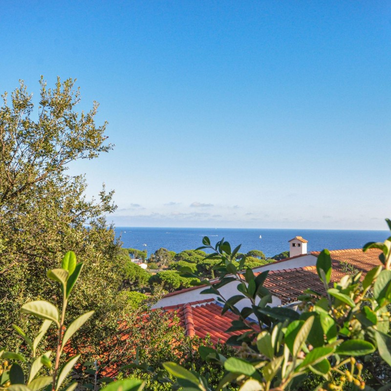 Ferielejlighed - 5 personer -  - 83240 - Cavalaire