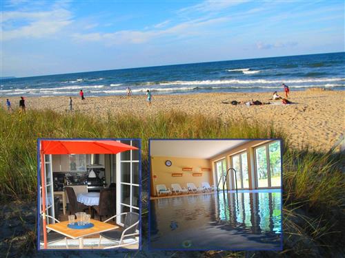 Ferielejlighed - 2 personer -  - Am Inselparadies - 18586 - Baabe