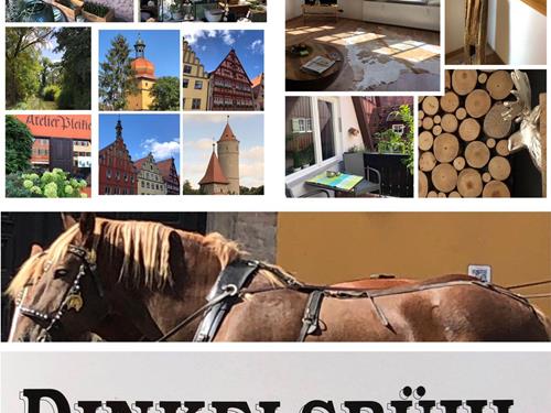 Ferielejlighed - 3 personer -  - Segringer Straße - 91550 - Dinkelsbühl