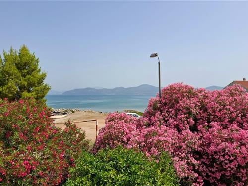 Holiday apartment - 4 persons -  - Drace - 20246 - Drace