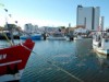 Bild 19