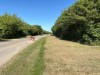 Billede 36