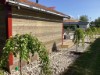 Image 10 - Outside