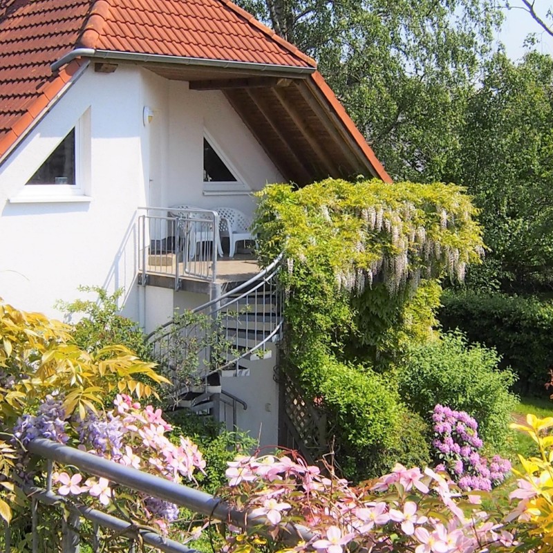 Ferielejlighed - 3 personer -  - Birkmaase - 18374 - Ostseeheilbad Zingst