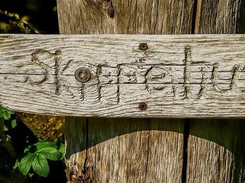 Sommerhus - 5 personer -  - Dora-Koch-Stetter-Weg - 18347 - Ostseebad Ahrenshoop