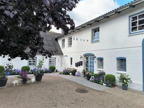 Ferieleilighet - 4 personer -  - Im Wiesengrund - 24963 - Tarp