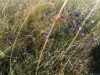 Bild 25