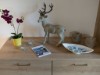 Bild 18
