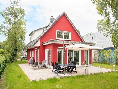 Ferienhaus - 4 Personen -  - Pappelallee - 18347 - Dierhagen / Ostseebad Die