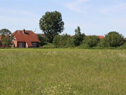 Feriehus / leilighet - 4 personer -  - Flüthörn - 26506 - Norddeich