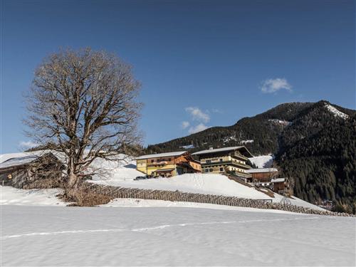 Semesterhus/Semesterlägenhet - 5 personer -  - Erlbergweg - 5700 - Zell Am See