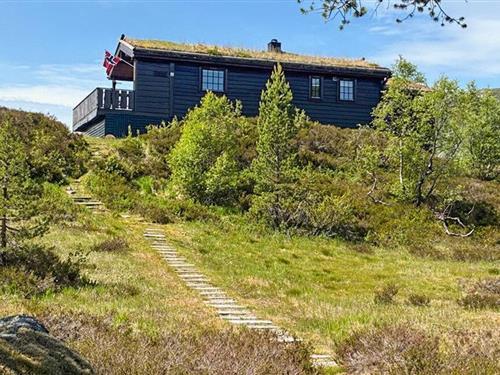 Sommerhus - 10 personer -  - Flesebekk - Tjørhom/Sirdal - 4443 - Tjørhom