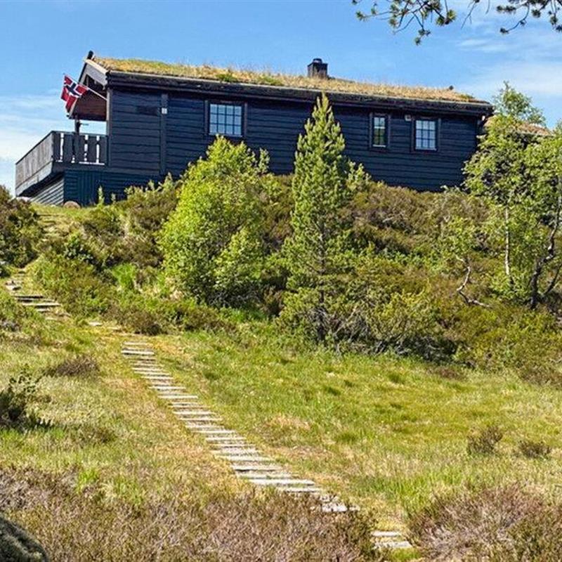 Sommerhus - 10 personer -  - Flesebekk - Tjørhom/Sirdal - 4443 - Tjørhom
