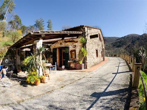 Sommerhus - 4 personer -  - Via Di Cerasomma - 55100 - Lucca