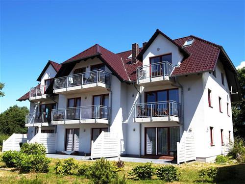 Ferieleilighet - 5 personer -  - Neubau, Modern eingerichtet - 18556 - Wiek