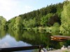 Bild 44