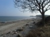 Bild 17