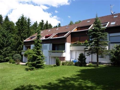 Ferielejlighed - 3 personer -  - Sudetenlandweg - 37444 - Sankt Andreasberg