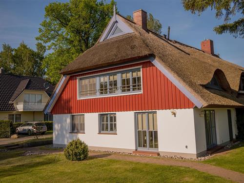 Ferieleilighet - 4 personer -  - Waldstraße - 18374 - Ostseeheilbad Zingst