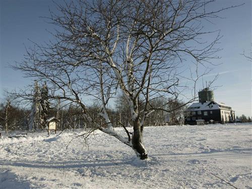 Ferieleilighet - 4 personer -  - Unterm Dumel - 59955 - Winterberg