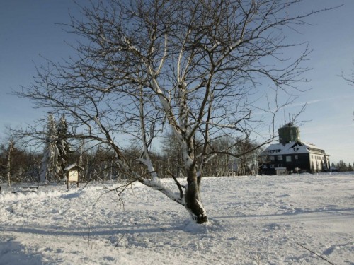 Ferielejlighed - 4 personer -  - Unterm Dumel - 59955 - Winterberg