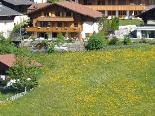 Holiday apartment - 3 persons -  - 3715 - Adelboden