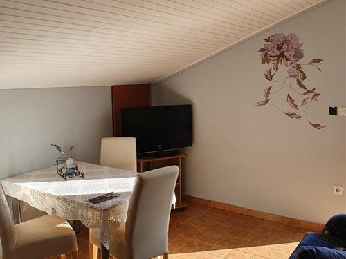 Holiday Home/Apartment - 4 persons -  - Porec - 52440 - Porec