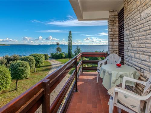 Holiday apartment - 4 persons -  - Ulica Grgura Ninskog - 23233 - Privlaka