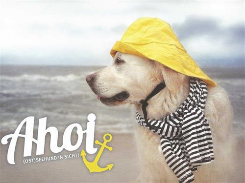 Holiday apartment - 5 persons -  - Garten mit Grillterrasse. Hunde willkommen! Umzäuntes Grunds - 18230 - Biendorf