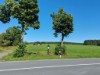 Billede 8