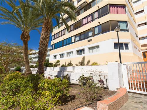 Sommerhus - 3 personer -  - 35100 - Maspalomas