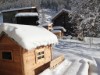 Bilde 5 - Ude