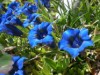 Bilde 4