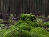 Bild 2 - Aussen